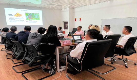 6b.jpg
